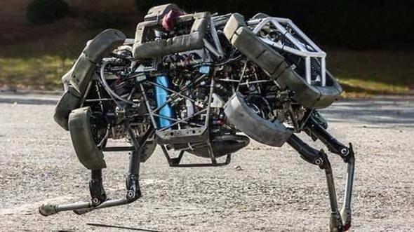 <p>"Boston Dynamics"in ABD ordusu için tasarladığı bu robot saatte 45,5 km hızla koşabilmektedir. (Bu hız Dünya'nın en hızlı insanı Usain Bolt'un en hızlı hızından daha hızlıdır.)</p>
<p> </p>