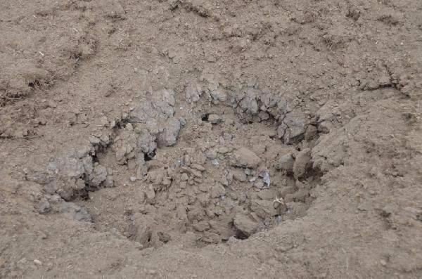 <p>Ağrı’nın Tendürek Dağı geçidi yakınlarındaki çobanlar tarafından bir köprününü altında bulunan bomba düzenekli 9 büyük boy tüp, askerlerce kontrollü olarak imha edildi. Çobanların dikkati, bir faciayı önledi.</p>
