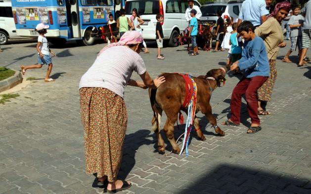 <p>Yerkesik Belediye Başkanı Yusuf Demirci, burada yaptığı konuşmada, buzağı g&uuml;zellik yarışmasını 29. Boğa G&uuml;reşleri kapsamında, sekizinci kez d&uuml;zenlediklerini s&ouml;yledi. Demirci, bir taraftan &ouml;rf, adet ve geleneklerini yaşatmaya &ccedil;alışırken diğer taraftan yarışmayla hayvan &uuml;reticilerini teşvik etmeye &ccedil;alıştıklarını kaydetti.</p>