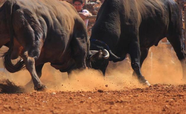 <p>Yerkesik Arenası'nda d&uuml;zenlenen g&uuml;reşleri izlemeye gelen yaklaşık 5 bin kişi, kamyon kasaları ve trakt&ouml;r r&ouml;morklarında boğaların kıran kırana m&uuml;cadelesini izledi.</p>