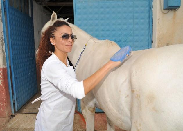 Uşak'ta ata sporu ciridi yaşatmaya çalışan bayan cirit takımı üyeleri dizi ve filmlerde bayan oyunculara dublörlük yapıyor. Haftada iki gün eğitim yapan bayan ciritciler ata binmeden atlarını yıkayıp tımarlıyorlar