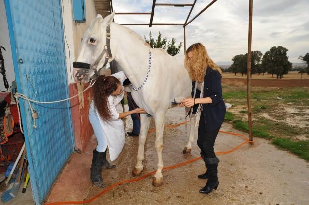 Uşak'ta ata sporu ciridi yaşatmaya çalışan bayan cirit takımı üyeleri dizi ve filmlerde bayan oyunculara dublörlük yapıyor. Haftada iki gün eğitim yapan bayan ciritciler ata binmeden atlarını yıkayıp tımarlıyorlar