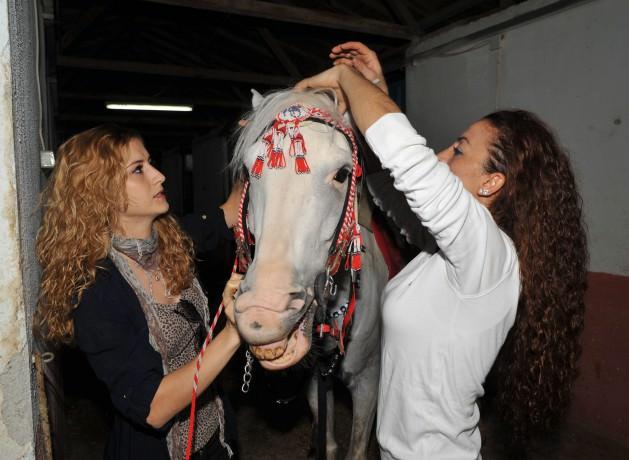 Uşak'ta ata sporu ciridi yaşatmaya çalışan bayan cirit takımı üyeleri dizi ve filmlerde bayan oyunculara dublörlük yapıyor. Haftada iki gün eğitim yapan bayan ciritciler ata binmeden atlarını yıkayıp tımarlıyorlar