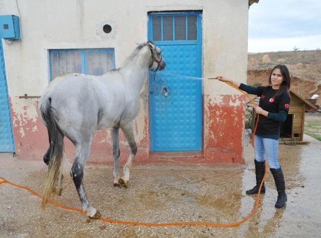 Uşak'ta ata sporu ciridi yaşatmaya çalışan bayan cirit takımı üyeleri dizi ve filmlerde bayan oyunculara dublörlük yapıyor. Haftada iki gün eğitim yapan bayan ciritciler ata binmeden atlarını yıkayıp tımarlıyorlar