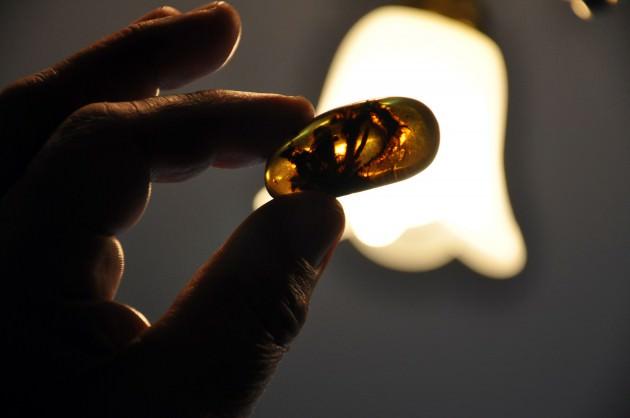 Koleksiyoner &Ouml;zdemir, AA muhabirine yaptığı a&ccedil;ıklamada, tespih sevgisi ve aşkını babası Hacı Mustafa &Ouml;zdemir'in aşıladığını s&ouml;yledi.  Gurbet&ccedil;i olarak 1970 yılında gittiği Almanya'da m&uuml;zelerde g&ouml;rd&uuml;ğ&uuml; koleksiyonlardan sonra kendisinin de koleksiyoner olmaya karar verdiğini belirten &Ouml;zdemir, T&uuml;rkiye'ye d&ouml;nd&uuml;kten sonra Kırşehir'deki &uuml;&ccedil; katlı evini bu ama&ccedil;la kullanmaya başladığını, bir odayı da tespih koleksiyonu i&ccedil;in ayırdığını anlattı.