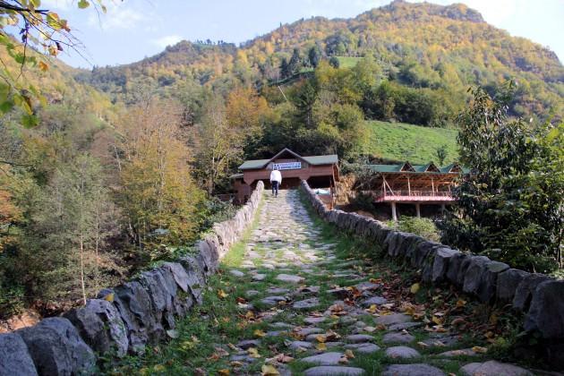 Arhavi ilçesinde bulunan Ortacalar Çifte Köprülerin, 18. yüzyılda yapıldığı tahmin ediliyor. Küçükköy ve Arılı köyleri yol ayrımında birbirine dik olacak şekilde planlanmış tek gözlü köprüler, eğimli olarak inşa edilmiş. Her iki köprünün onarımı da 2003 yılında Karayolları 10. Bölge Müdürlüğü tarafından gerçekleştirildi.