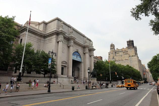 D&uuml;nyanın en b&uuml;y&uuml;k m&uuml;zelerinden Amerikan Doğa Tarihi M&uuml;zesi, New York'taki Central Park'ın yakınında bulunuyor. Birbirine bağlı 25 bloktan oluşan devasa m&uuml;zede 46 daimi sergi salonunda, 32 milyondan fazla par&ccedil;a sergileniyor. M&uuml;zede 200'den fazla bilim adamı g&ouml;rev yapıyor.