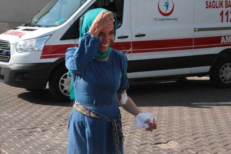 <p>Kurban Bayramında sabahın erken saatlerinden itibaren kurbanlıklarını kesen bazı vatandaşlar hayvanın altında kalarak, boynuz darbeleri yada kazara bıçakla kendini keserek çeşitli yerlerinden yaralandı. Yaralılar tedavi için Kayseri Eğitim ve Araştırma Hastanesine geldi.</p>
<p> </p>