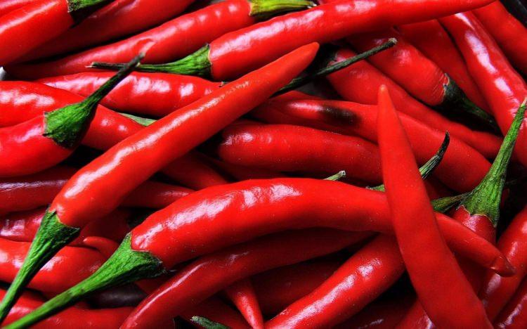 <p>Doğal maddesi capsaicin olan acı biber ağza değdirildiği anda yakıcı bir his uyandırır. Bu his sayesinde sinirler yumuşayarak beyinde endorfin salgılar. Beyin bölgesinde salgılanan endorfin vücutta ağrı kesici etkisi oluşturur.</p>
