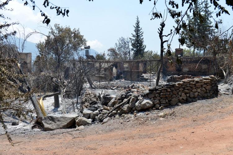 <p>Kumluca'ya bağlı Adrasan Mahallesi'ndeki orman yangınında yaşam alanları, meyve bahçeleri ve ormanlık alanın yanı sıra hayvanlar da yandı.</p>
