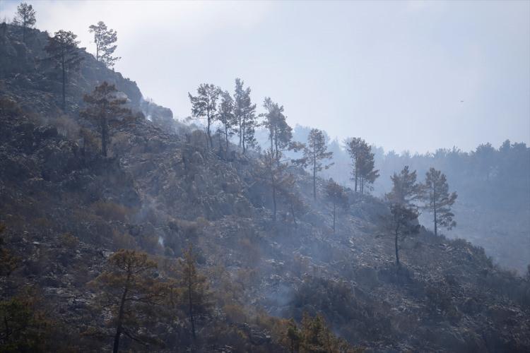 <p>TURİZM BÖLGELERİ YANMAKTAN KURTARILDI<br />
Yangınla ilgili gazetecilerin sorularını yanıtlayan Orman Genel Müdürü İsmail Üzmez de yerleşim yerleriyle ilgili herhangi bir problem kalmadığını, oteller ve turizm bölgelerinin yanmaktan kurtarıldığını söyledi. </p>
