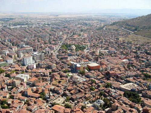 AFYONKARAHİSAR: Lojistik, inşaat-gayrimenkul geliştirme, mermer makinaları, şarküteri, lokum, un sektörü, makarna, bisküvi, patates ürünleri, cips, kauçuk sanayi, organik tarım, seracılık, besicilik, pastörize yumurta, madencilik, jeotermal enerji, turizm, sağlık turizmi, şekerleme.