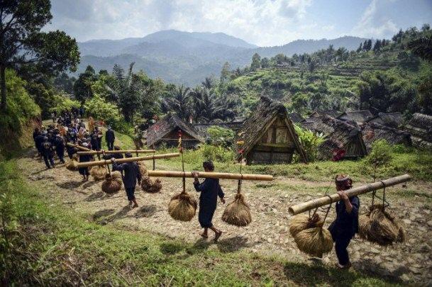<p>Anadolu Ajansı Gözüyle 2014: Endonezya'nın Central Java eyaletindeki, Sukabumi köyünde toplanan köylüler her yıl hasat mevsiminden sonra Tanrıya şükranlarını sunuyor. Yerel adıyla ''Seren Taun'' olarak bilinen festival için toplanan köylüler gelecek yılın da bereketli geçmesi için dua ediyor. 24.8.2014 (Kristian Hutapea - Anadolu Ajansı)</p>
<p> </p>