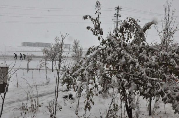 <p>BİTLİS</p>
