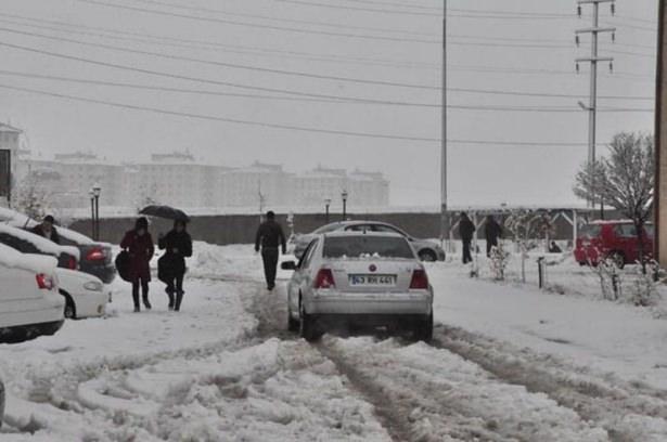 <p>BİTLİS</p>
