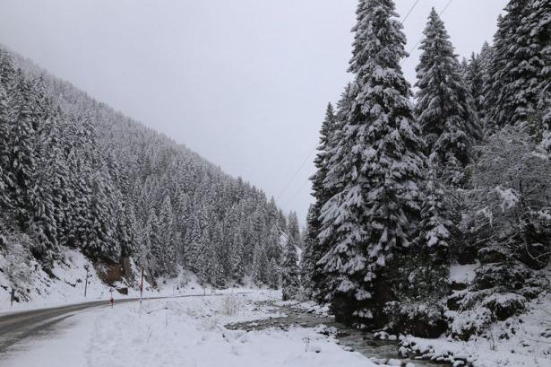 <p>ERZURUM</p>
