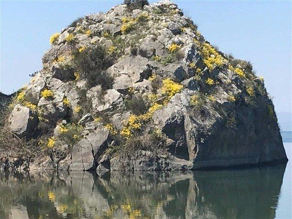 <p>İznik Gölü kıyısında bulunan ve bölgede Sarı Kaya olarak da adlandırılan adaya benzeyen kayanın fotoğrafı sosyal medyada tartışmalara yol açtı.</p>