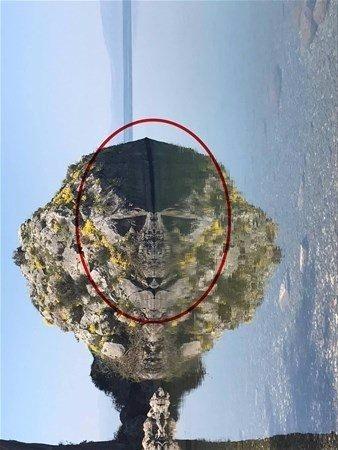 <p>Fotoğraf 90 derece sola çevrildiğinde ortasında büyük bir kurukafa onun içinde de yeleli aslan ve gözlük takmış bir maymun figürleri de ortaya çıkıyor.</p>
