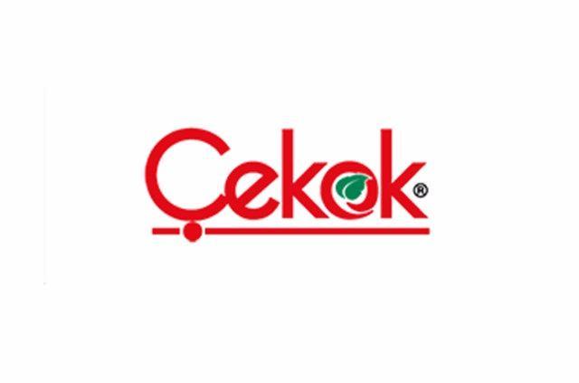 <p>77 Çekok Gıda (Kocaeli)<br />
Ciro (TL): 581.984.637</p>
