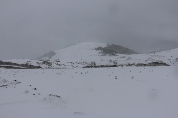 <p>ORDU</p>
