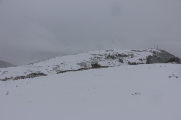 <p>ORDU</p>
