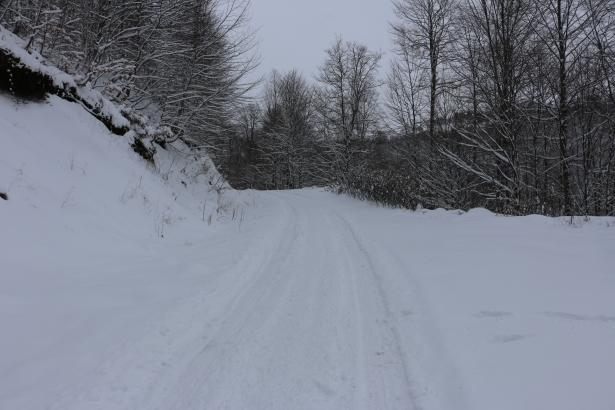 <p>ORDU</p>
