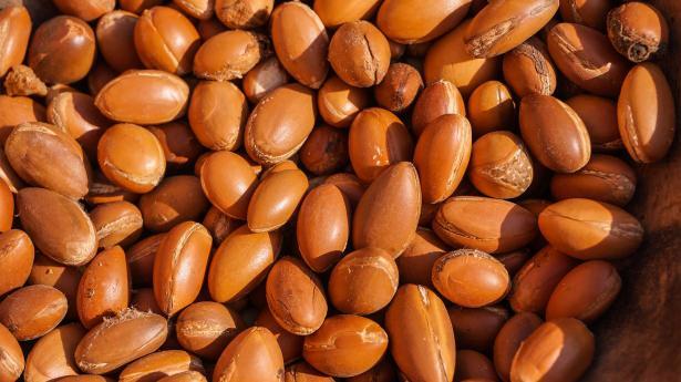 <p>Argan son yıllarda Dünyanın ilgisini çekmeye başladığını kozmetik ürünlerden anlayabiliyoruz.</p>
