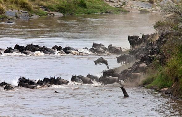 <p>Bu inanılmaz görüntüler safaride bulunan bir kişinin fotoğraf makinesine işte böyle yansıdı. Antilopun, hayatını kurtaran hippoya gösterdiği sevgi ise gerçekten görülmeye değer.</p>

<p> </p>
