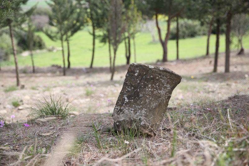 <p><strong>"BU ŞEHİTLİK CAFER HASAN'IN SAYESİNDE ORTAYA ÇIKTI"</strong></p>
<p>Beşyol Köyü Muhtarı Necmi Pamukçu da bu bölgede yıllardır çok sayıda hastanenin ve şehidin olduğunun söylendiğini aktardı.</p>
<p>Pamukçu, şunları dile getirdi:</p>