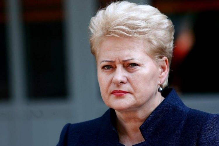 <p>Litvanya Cumhurbaşkanı Dalia Grybauskaite, Twitter hesabından, “İstanbul’daki havaalanında aşağılık bir terör saldırısı gerçekleştirildi. Türk halkı ile birlikte duruyoruz.” ifadesini kullandı. "Türk halkına terörle mücadelede somut destek vermekteyiz"</p>
