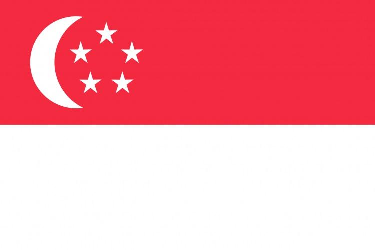 <p>Singapur Dışişleri Bakanlığından yapılan yazılı açıklamada ise "Atatürk Havalimanı'nda gerçekleşen bombalı saldırıyı şiddetle kınıyoruz. Singapur olarak ölenlerin ailelerine başsağlığı, yaralananlara da acil şifalar diliyoruz. Böyle zor bir gününde Türkiye hükümetinin yanında olduğumuzu belirtmek isteriz." denildi.</p>

<p> </p>
