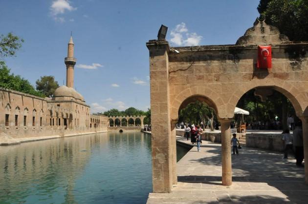 Şanlıurfa’nın simgesi olan ve kutsal sayılan Balıklıgöl’de sonbahar manzaraları da yaşanmaya başlandı.