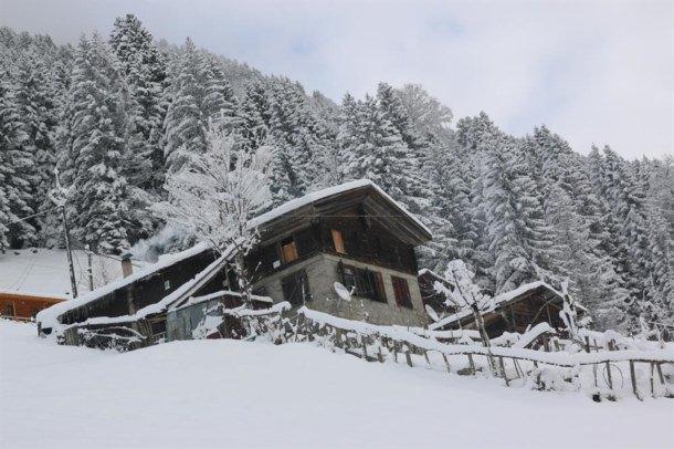 <p>Ayder'de kar yağışıyla birlikte b&uuml;y&uuml;leyici g&uuml;zellikler ortaya &ccedil;ıktı...</p>
