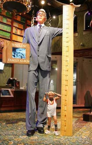 <p>En uzun boylu insan 1940 yılında ölen 2,72 metre boyunda ABD'li R.P. Wadlow olmuştur.</p>
