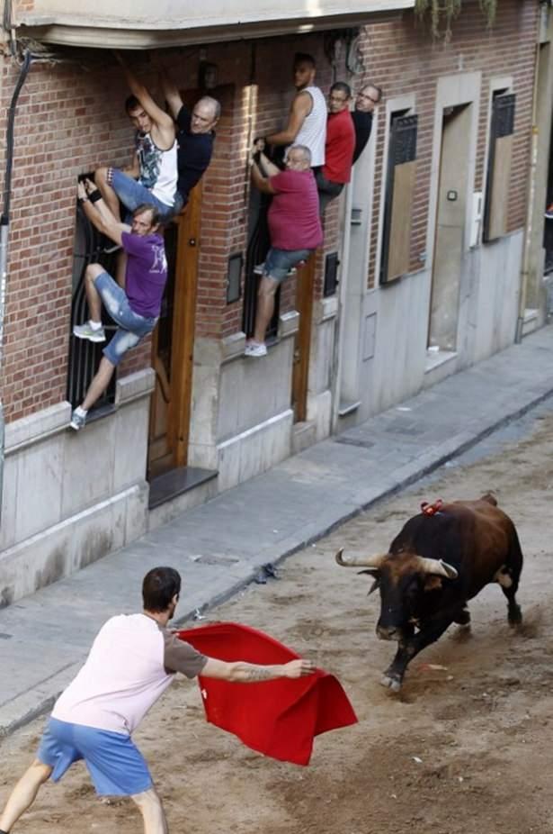 <p>İspanya'da en büyük boğa festivali ise 6-14 Temmuz tarihleri arasında San Fermín'de yapılıyor.</p>
