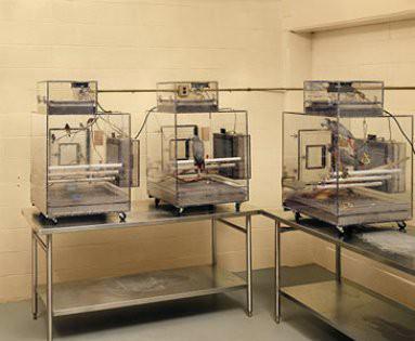 New York'ta bulunan bu tesiste, &uuml;lke dışından gelen t&uuml;m kuşlar, kuş gribi ve diğer hastalıklar i&ccedil;in incelenmeden &ouml;nce 30 g&uuml;nl&uuml;k karantina altında tutuluyor.