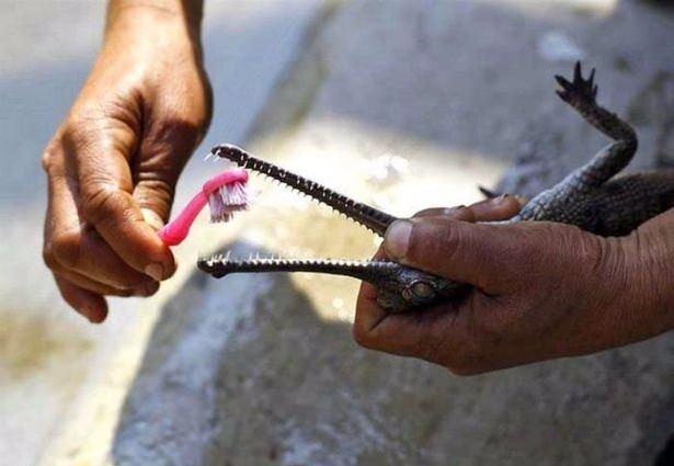 <p>Sosyal medya ortamında en &ccedil;ok beğenilen ve paylaşılan en ilgin&ccedil;, tam o anda &ccedil;ekilmiş inanılmaz fotoğraflar...</p>
