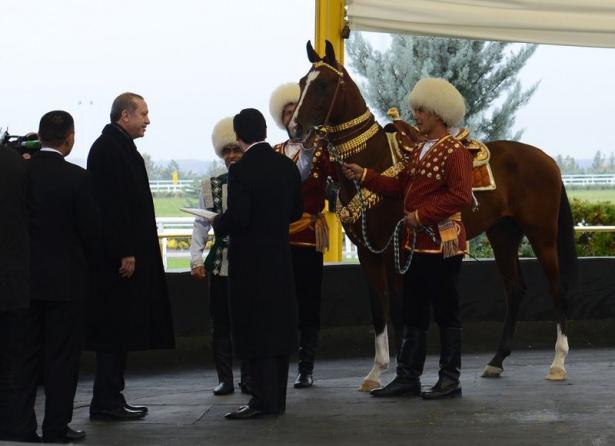 <p>Cumhurbaşkanı Erdoğan'a, Gurbanguli Berdimuhammedov tarafından &ldquo;Doğan&rdquo; isimli ahal teke atı hediye edildi.</p>

