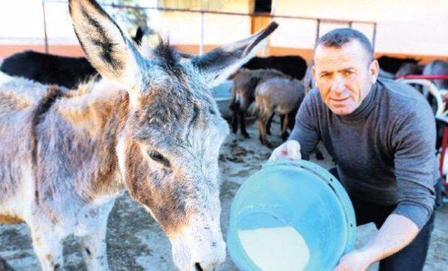 <p>Bir çok hastalığa iyi geldiği düşünülerek satışları her geçen gün artıyor.</p>
<p> </p>