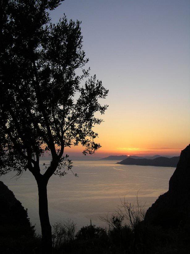 <p>Faralya</p>
