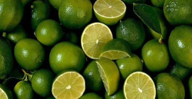 <p>Limon türleri; diyabete, gribe ve bütün enflamasyona iyi gelir.</p>
