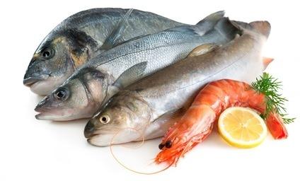<p>Gıda Güvenliği Derneği Başkanı Samim Saner, balıkta gıda güvenliğinin nasıl olması gerektiğini açıkladı.</p>
