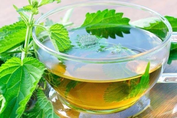 <p>Demir vitamininden yoksun kişilerin mutlaka her gün iki bardak ısırgan çayı içmeleri öneriliyor.</p>
