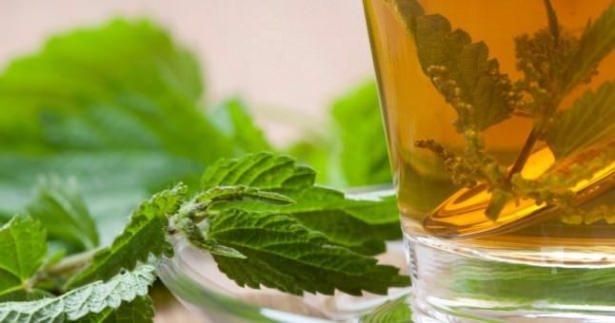 <p>Kanda birikmiş toksinlerin atılmasında fayda sağlıyor, hazımsızlık sorunu yaşayan kişilerin günlük bir fincan ısırgan çayı içmeleri tavsiye ediliyor.</p>
