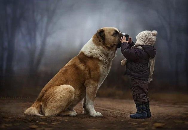 <p>Her anne gibi Elena Shumilova da iki çocuğunun büyüdükleri her anı kaydetmek istemiş.</p>