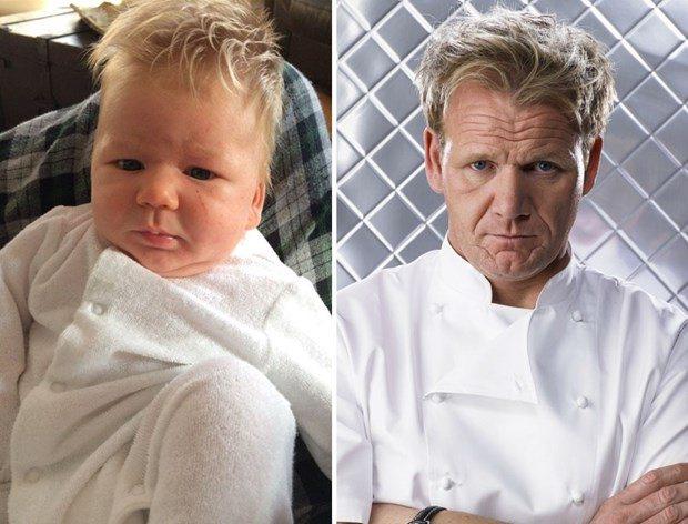 <p><strong>Gordon Ramsay</strong></p>
