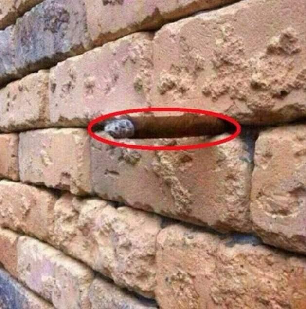 <p><strong>Peki, şu an görebiliyor musunuz? </strong><br />
<br />
<strong>Evet, bazı insanlar orada olduğunu bilseler bile görememeye devam ediyorlar.</strong></p>