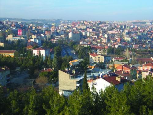 BİLECİK: Tarım, hayvancılık, madencilik, seracılık ve meyvecilik, yem, yem bitkileri, soğuk hava depoları, besicilik, et işleme, süt ürünleri, kapı, pencere, parke üretimi, inşaat malzemeleri, hazır giyim, tekstil, hırdavat, tıbbi aletler, demir çelik.