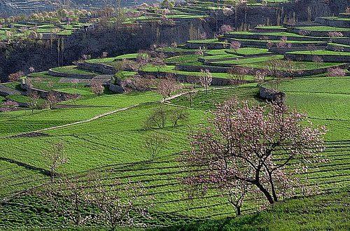 <p>Çin’in Sincan Uygur bölgesindeki Kaşgar şehrini Pakistan’ın Pencap eyaletindeki Hasan Abdal şehrine bağlayan, Gilgit ve Hunza vadisinden geçen<strong>Karakurum Karayolu</strong>nun 1979 da tamamlanması ve 1986 da turizme açılmasıyla Hunza vadisine erişim kolaylaşmıştır.</p>
