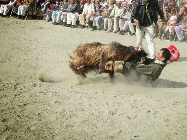 <p><strong>Tarih</strong></p>
<p>Asırlarca yolu, izi olmayan, erişilmesi çok güç bir yerde izole olarak yaşayan Hunzakutlar “<em><strong>Mir</strong></em>” dedikleri hanedan reislerinin ve ona danışmanlık yapan on iki kişiden oluşan bir İhtiyar Heyeti idaresinde, yani <strong>Türk geleneklerine uygun olarak</strong>, 900 yıldan fazla bir süre bağımsız yaşamışlar. </p>